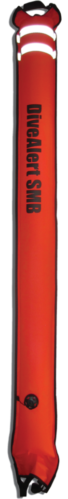 PARACHUTE DE PALIER